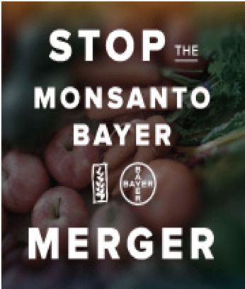 Screen Shot 2017-08-23 at 11.09.28 AM